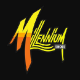millenniumshoes1